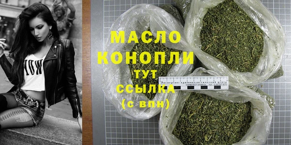 крисы Абаза