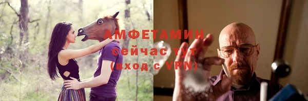 крисы Абаза