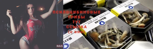 винт Абинск